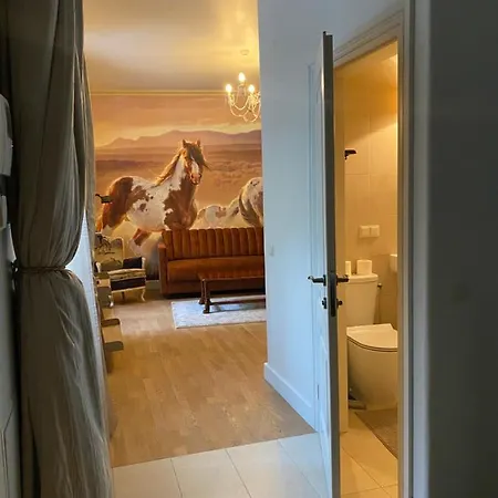 Apartment Exclusive Gaono In The Heart Of Old Town