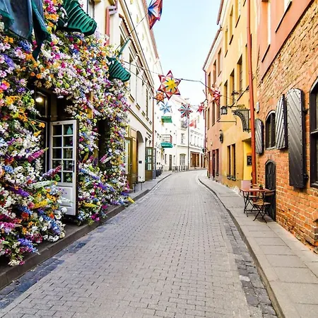 Exclusive Gaono In The Heart Of Old Town Vilnius