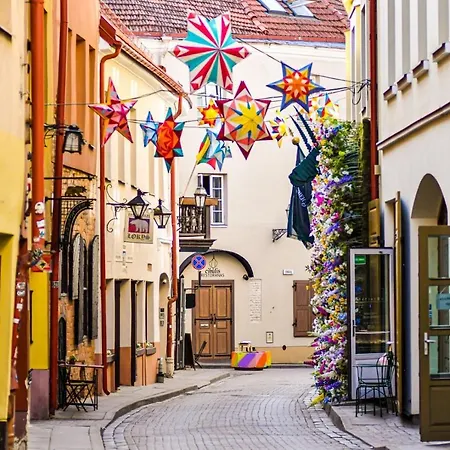 Exclusive Gaono In The Heart Of Old Town * Vilnius